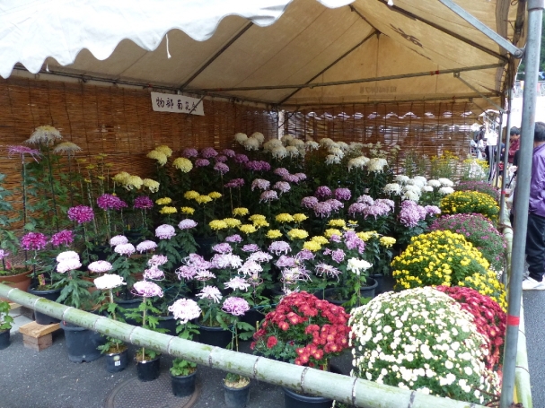 物部菊花会